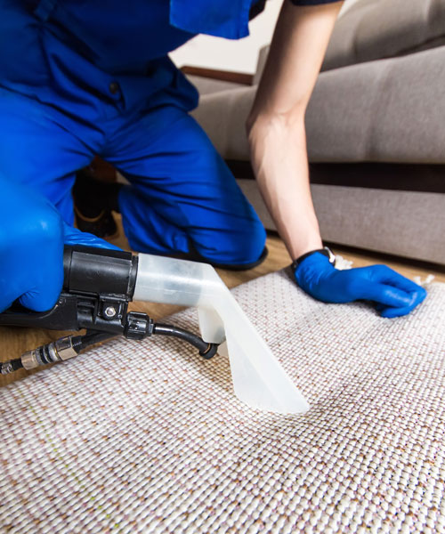 Spotless Carpet Cleaning