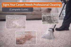 Signs Your Carpet Needs Professional Cleaning