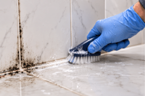 Mold in Bathroom Tile & Grout How to Remove It Safely.